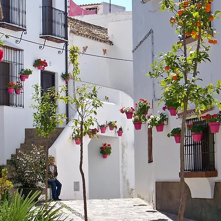 Lejlighed Miguel Angel Estepona